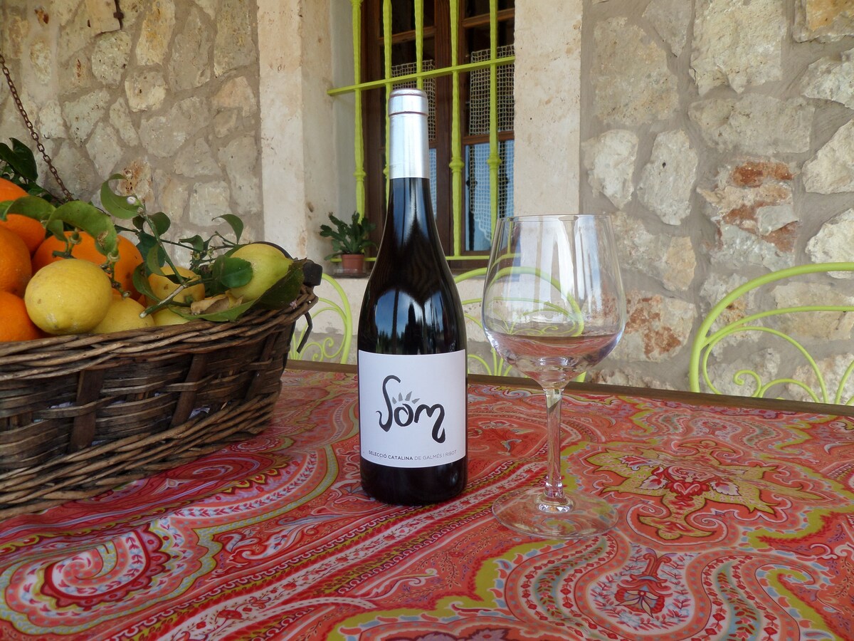 FINCA S´ESTANYOL 4