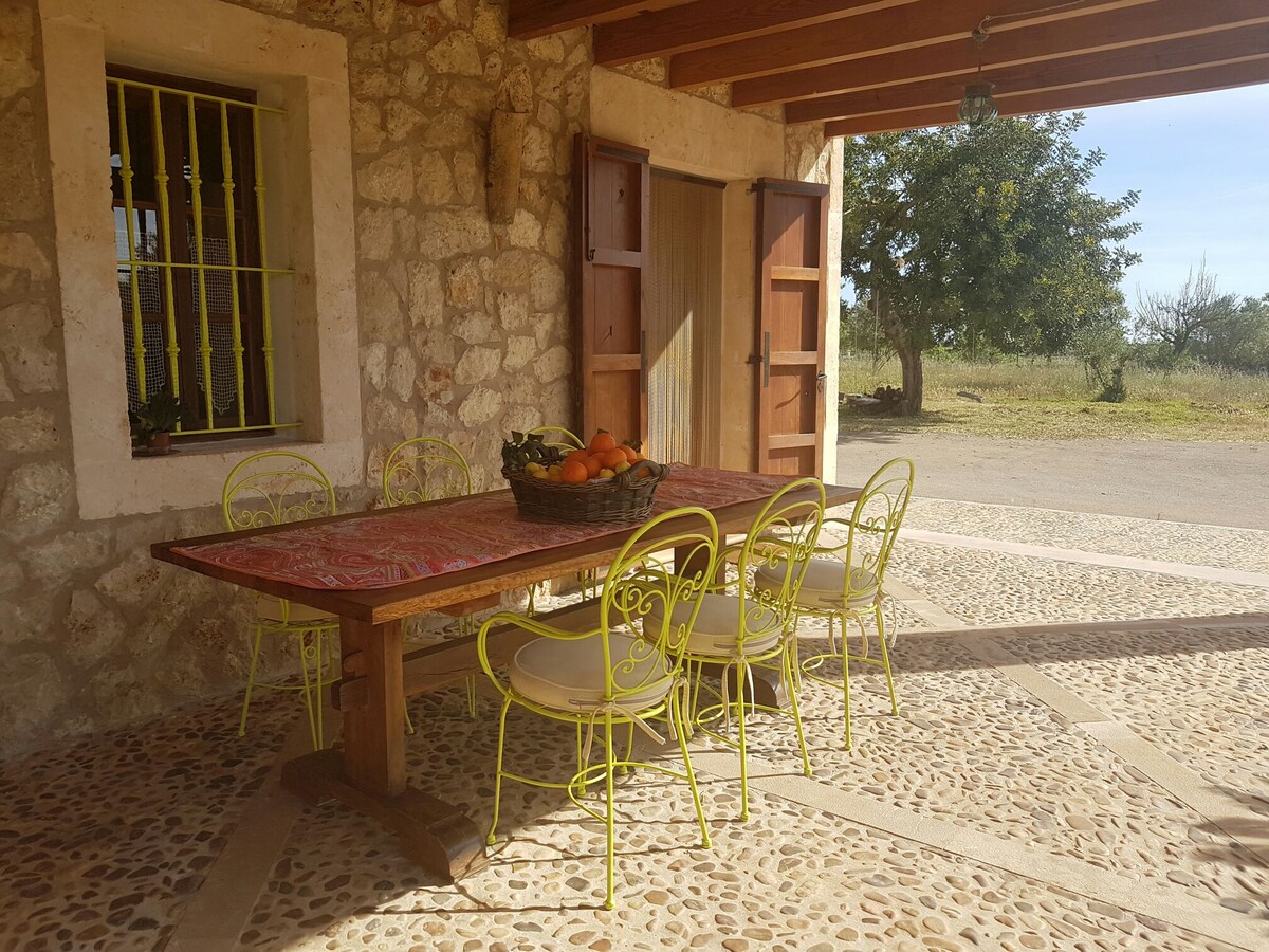 FINCA S´ESTANYOL 5