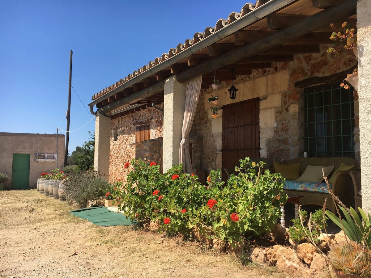 Malvasía de Son Alegre