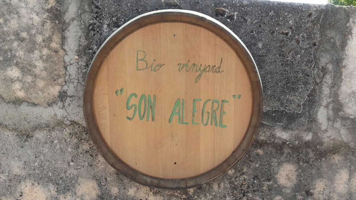 Malvasía de Son Alegre 5