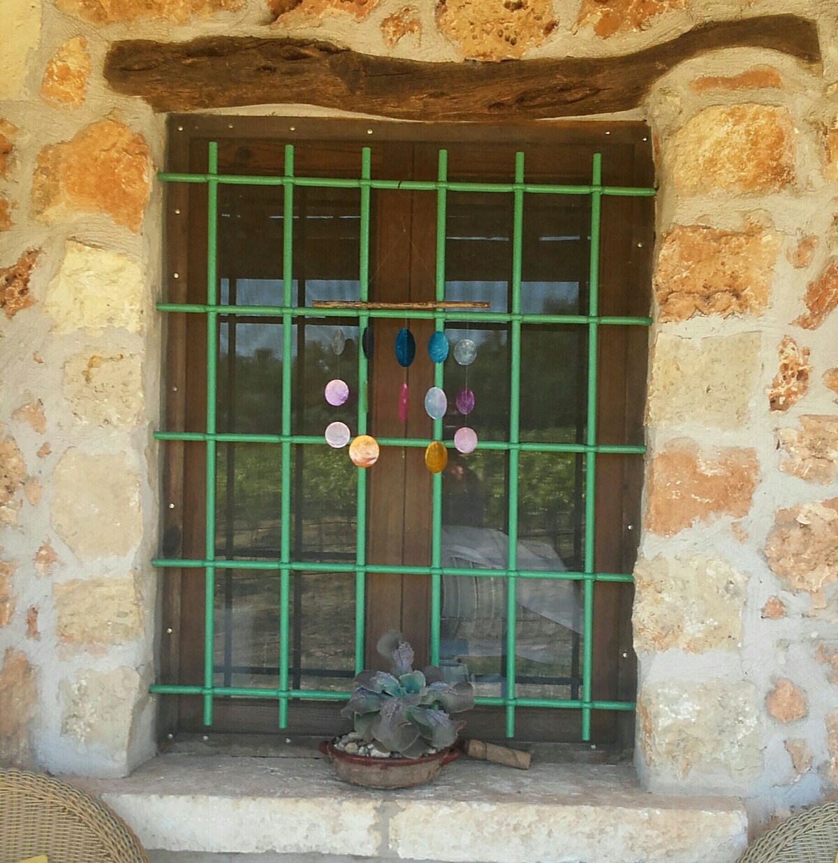 Malvasía de Son Alegre 8